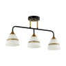 Потолочная люстра Lumion Nettie 5214/3CA - Потолочная люстра Lumion Nettie 5214/3CA
