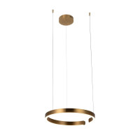  - Подвесной светодиодный светильник Loft IT Ring 10013M