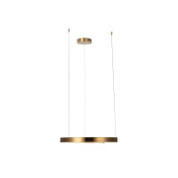  - Подвесной светодиодный светильник Loft IT Ring 10013M