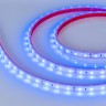 Лента RTW 2-5000P 12V Blue (3528, 300 LED, LUX) (Arlight, 4.8 Вт/м, IP66) - Лента RTW 2-5000P 12V Blue (3528, 300 LED, LUX) (Arlight, 4.8 Вт/м, IP66)