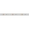 Лента RTW 2-5000P 12V Blue (3528, 300 LED, LUX) (Arlight, 4.8 Вт/м, IP66) - Лента RTW 2-5000P 12V Blue (3528, 300 LED, LUX) (Arlight, 4.8 Вт/м, IP66)