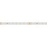 Лента RT 2-5000-50m 24V White5500 (2835, 80 LED/m, LUX) (Arlight, 6 Вт/м, IP20) - Лента RT 2-5000-50m 24V White5500 (2835, 80 LED/m, LUX) (Arlight, 6 Вт/м, IP20)