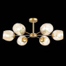 Потолочная люстра Evoluce Pallo SLE155412-06 - Потолочная люстра Evoluce Pallo SLE155412-06