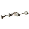 Спот Arte Lamp Focus A5219PL-4BR - Спот Arte Lamp Focus A5219PL-4BR