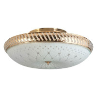  - Накладной светильник Toplight Loreen TL1492Y-05GC