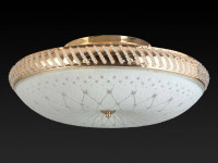  - Накладной светильник Toplight Loreen TL1492Y-05GC