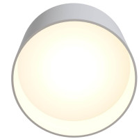  - Потолочный светильник Technical C009CW-L12W