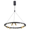 Подвесной светодиодный светильник Odeon Light Beveren 3918/63L - Подвесной светодиодный светильник Odeon Light Beveren 3918/63L