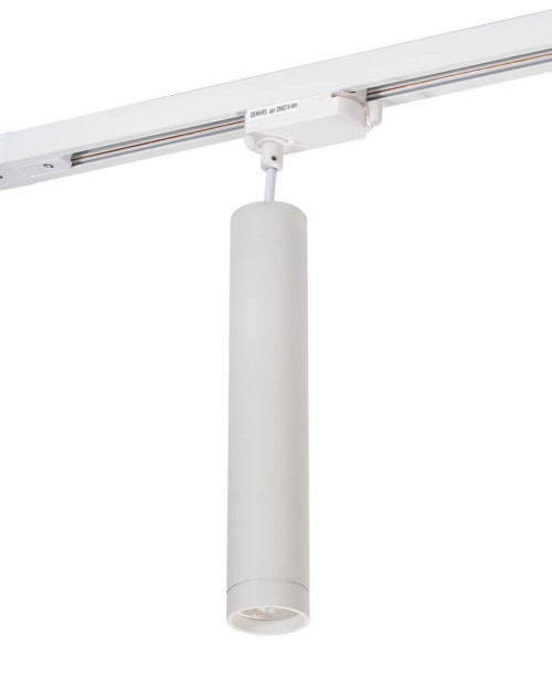 Трековый светильник Denkirs DK6210-WH 