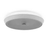  - Потолочный светильник Freya FR10012CL-L24W
