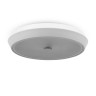 Потолочный светильник Freya FR10012CL-L24W - Потолочный светильник Freya FR10012CL-L24W