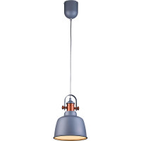  - Подвесной светильник Lucia Tucci Industrial 1820.1 Sand Silver