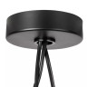 Подвесная люстра Lightstar Omega 727133 - Подвесная люстра Lightstar Omega 727133