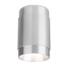 Потолочный светильник Elektrostandard Tony DLN109 GU10 серебро 4690389148682 - Потолочный светильник Elektrostandard Tony DLN109 GU10 серебро 4690389148682