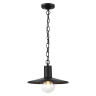 Уличный подвесной светильник Odeon Light Furcadia 4833/1 - Уличный подвесной светильник Odeon Light Furcadia 4833/1