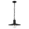 Уличный подвесной светильник Odeon Light Furcadia 4833/1 - Уличный подвесной светильник Odeon Light Furcadia 4833/1