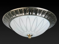  - Накладной светильник Toplight Paulina TL5050Y-02AB