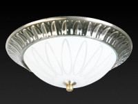  - Накладной светильник Toplight Paulina TL5050Y-02AB