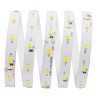 Светодиодная лента Apeyron 5W/m 60LED/m 3528SMD теплый белый 5M 00-344 - Светодиодная лента Apeyron 5W/m 60LED/m 3528SMD теплый белый 5M 00-344