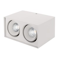  - Светильник SP-KVAD-S100x200WH-2x11W Warm White 40deg (Arlight, IP20 Металл, 3 года)