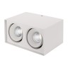 Светильник SP-KVAD-S100x200WH-2x11W Warm White 40deg (Arlight, IP20 Металл, 3 года) - Светильник SP-KVAD-S100x200WH-2x11W Warm White 40deg (Arlight, IP20 Металл, 3 года)