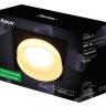 Потолочный светильник Ritter Alen 52054 2 - Потолочный светильник Ritter Alen 52054 2