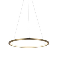  - Подвесной светодиодный светильник Loft IT Ring 10014M