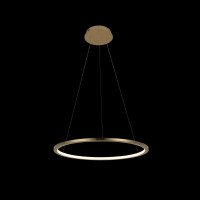  - Подвесной светодиодный светильник Loft IT Ring 10014M