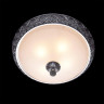 Потолочный светильник Chiaro Версаче 254015304 - Потолочный светильник Chiaro Версаче 254015304