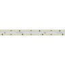 Лента S2-2500 24V Day 4000K 15mm (2835, 280 LED/m, LUX) (Arlight, 20 Вт/м, IP20) - Лента S2-2500 24V Day 4000K 15mm (2835, 280 LED/m, LUX) (Arlight, 20 Вт/м, IP20)