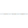 Лента RS-S120-8mm 24V Day4000 (9.6 W/m, IP20, 3014, 5m) (Arlight, боковое свечение) - Лента RS-S120-8mm 24V Day4000 (9.6 W/m, IP20, 3014, 5m) (Arlight, боковое свечение)