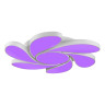 Потолочный светодиодный светильник iLedex Flower 108W WH - Потолочный светодиодный светильник iLedex Flower 108W WH