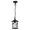 Уличный подвесной светильник Odeon Light Cuita 4963/1 - Уличный подвесной светильник Odeon Light Cuita 4963/1