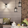Уличный подвесной светильник Odeon Light Cuita 4963/1 - Уличный подвесной светильник Odeon Light Cuita 4963/1