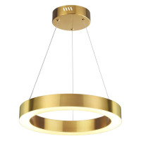  - Подвесной светодиодный светильник Odeon Light Brizzi 3885/25LG