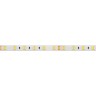 Лента RTW 2-5000SE 24V White 2x (5060, 300 LED, LUX) (Arlight, 14.4 Вт/м, IP65) - Лента RTW 2-5000SE 24V White 2x (5060, 300 LED, LUX) (Arlight, 14.4 Вт/м, IP65)