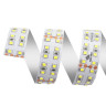 Светодиодная лента Apeyron 38W/m 240Led/m 2835SMD холодный белый 1M 245BL - Светодиодная лента Apeyron 38W/m 240Led/m 2835SMD холодный белый 1M 245BL