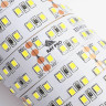 Светодиодная лента Apeyron 38W/m 240Led/m 2835SMD холодный белый 1M 245BL - Светодиодная лента Apeyron 38W/m 240Led/m 2835SMD холодный белый 1M 245BL