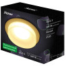 Потолочный светильник Ritter Celle 52050 4 - Потолочный светильник Ritter Celle 52050 4