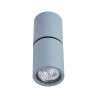 Спот Divinare Gavroche Posto 1800/05 PL-1 - Спот Divinare Gavroche Posto 1800/05 PL-1