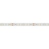 Лента RTW-5000SC 24V Day SP5000-Veg 10mm (2835, 112 LED/m, SHOP) (Arlight, Открытый) - Лента RTW-5000SC 24V Day SP5000-Veg 10mm (2835, 112 LED/m, SHOP) (Arlight, Открытый)