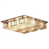Потолочная люстра Lussole Lariano GRLSA-5407-09 - Потолочная люстра Lussole Lariano GRLSA-5407-09