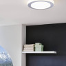 Потолочный светодиодный светильник Eglo Led Carpi 95282 - Потолочный светодиодный светильник Eglo Led Carpi 95282