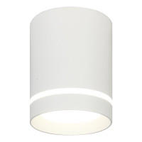 Потолочный светодиодный светильник Escada 20009SMU/01LED SWH