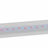 Лампа светодиодная для растений ЭРА G13 9W 1200K прозрачная XGYT8B102-E9 RW Б0042986 - Лампа светодиодная для растений ЭРА G13 9W 1200K прозрачная XGYT8B102-E9 RW Б0042986