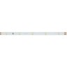 Лента RT 2-5000 24V Cool 8K 0.5x (3528, 150 LED, LUX) (Arlight, 2.9 Вт/м, IP20) - Лента RT 2-5000 24V Cool 8K 0.5x (3528, 150 LED, LUX) (Arlight, 2.9 Вт/м, IP20)