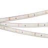 Лента RTW 2-5000PS 12V White6000 (3528, 300 LED, LUX) (Arlight, 4.8 Вт/м, IP67) - Лента RTW 2-5000PS 12V White6000 (3528, 300 LED, LUX) (Arlight, 4.8 Вт/м, IP67)