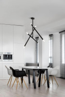  - Потолочный светильник Maytoni Technical MOD620CL-06B