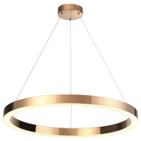  - Подвесной светодиодный светильник Odeon Light Brizzi 3885/45LA