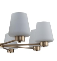  - Подвесная люстра Indigo Tulip 13004/8P Gold V000002